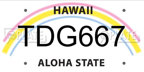 TDG667 Hawaii License Plate