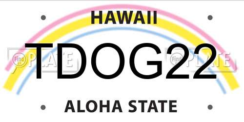 TDOG22 Hawaii License Plate