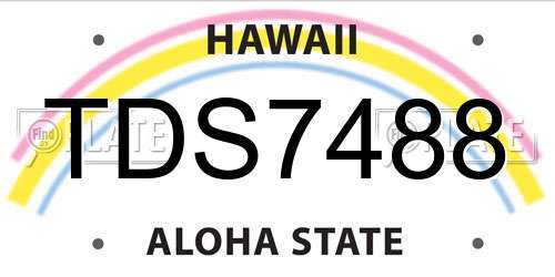 TDS7488 Hawaii License Plate