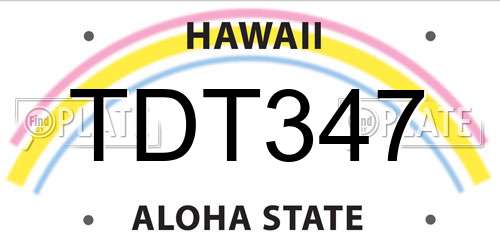 TDT347 Hawaii License Plate