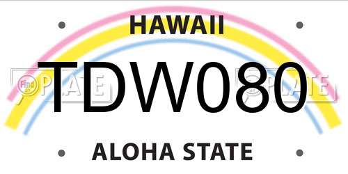 TDW080 Hawaii License Plate