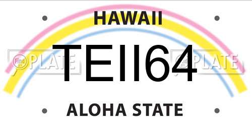 TEII64 Hawaii License Plate