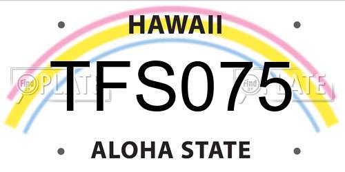 TFS075 Hawaii License Plate