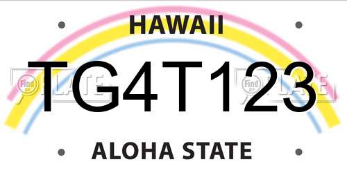 TG4T123 Hawaii License Plate