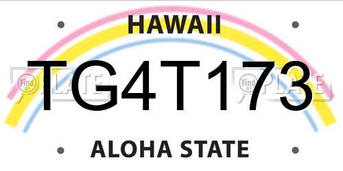 TG4T173 Hawaii License Plate