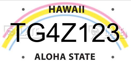 TG4Z123 Hawaii License Plate