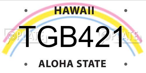 TGB421 Hawaii License Plate