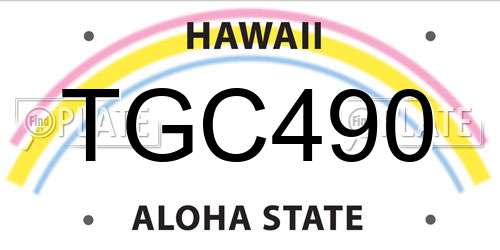 TGC490 Hawaii License Plate