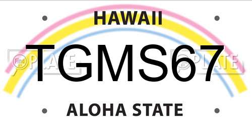 TGMS67 Hawaii License Plate
