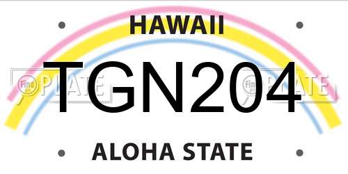 TGN204 Hawaii License Plate