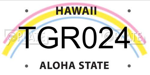 TGR024 Hawaii License Plate