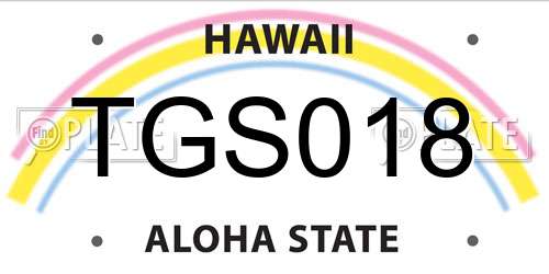 TGS018 Hawaii License Plate