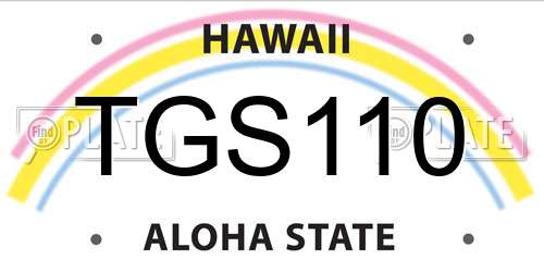 TGS110 Hawaii License Plate