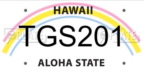 TGS201 Hawaii License Plate