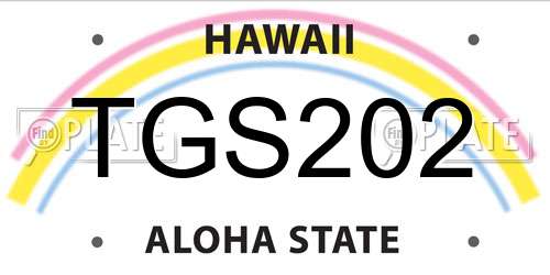 TGS202 Hawaii License Plate