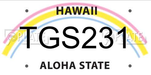 TGS231 Hawaii License Plate