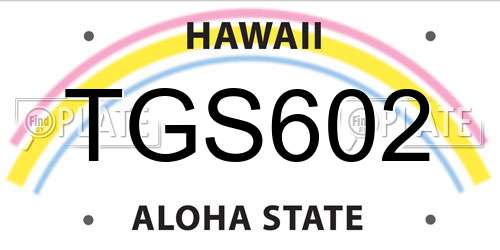 TGS602 Hawaii License Plate