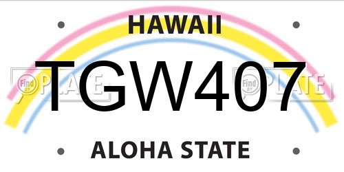 TGW407 Hawaii License Plate