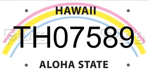 TH07589 Hawaii License Plate