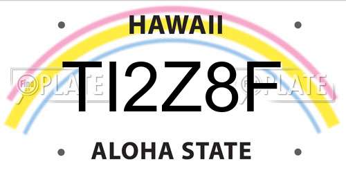 TI2Z8F Hawaii License Plate
