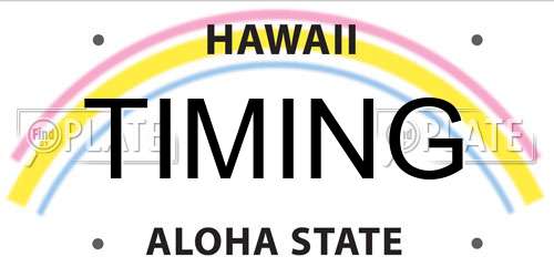 TIMING Hawaii License Plate
