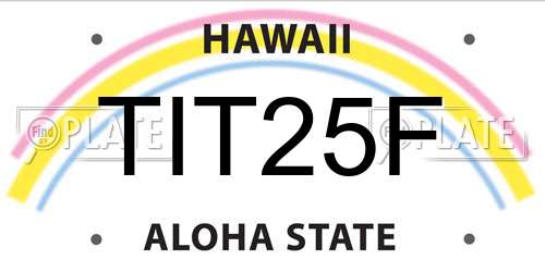 TIT25F Hawaii License Plate