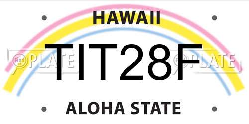 TIT28F Hawaii License Plate
