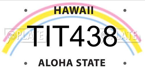 TIT438 Hawaii License Plate