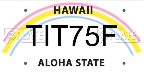 TIT75F Hawaii License Plate