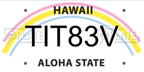 TIT83V Hawaii License Plate