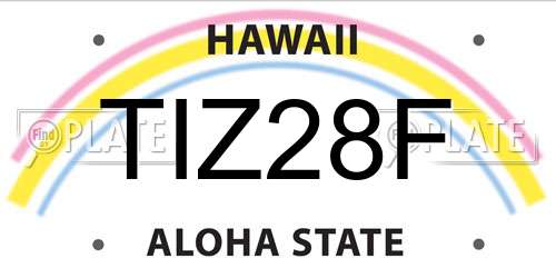 TIZ28F Hawaii License Plate