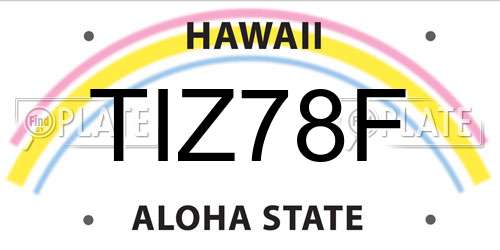 TIZ78F Hawaii License Plate