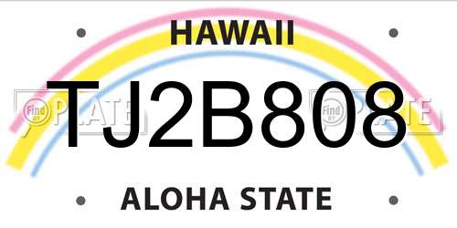 TJ2B808 Hawaii License Plate