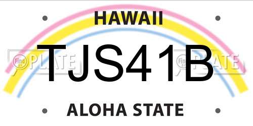 TJS41B Hawaii License Plate