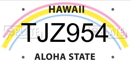 TJZ954 Hawaii License Plate