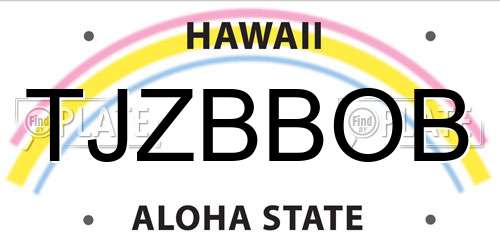 TJZBBOB Hawaii License Plate