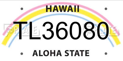 TL36080 Hawaii License Plate