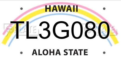 TL3G080 Hawaii License Plate