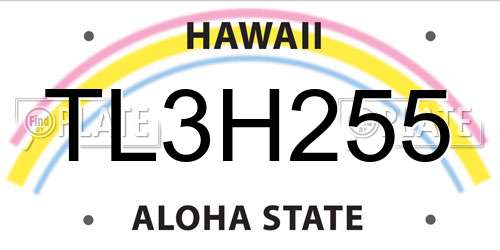TL3H255 Hawaii License Plate