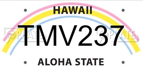 TMV237 Hawaii License Plate