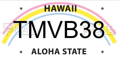 TMVB38 Hawaii License Plate
