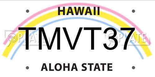 TMVT37 Hawaii License Plate