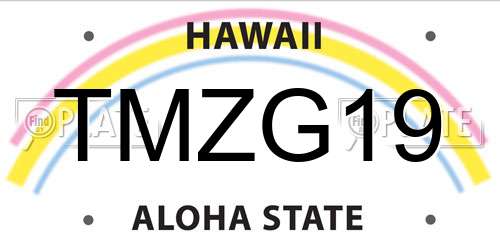 TMZG19 Hawaii License Plate