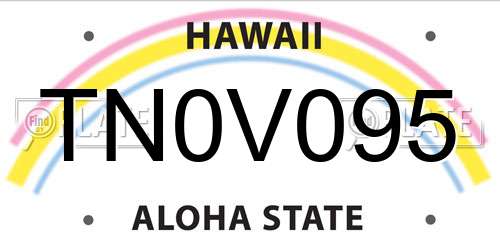 TN0V095 Hawaii License Plate