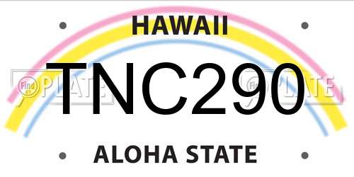 TNC290 Hawaii License Plate