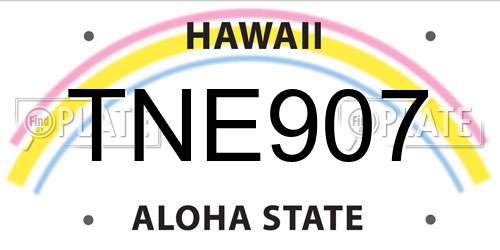 TNE907 Hawaii License Plate