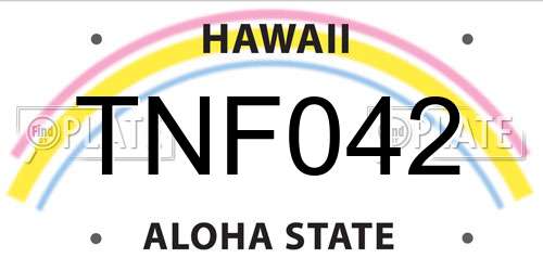 TNF042 Hawaii License Plate