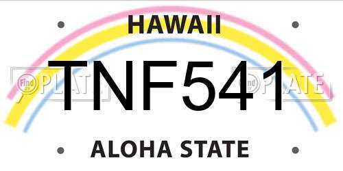TNF541 Hawaii License Plate