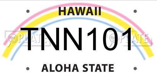 TNN101 Hawaii License Plate