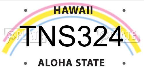 TNS324 Hawaii License Plate